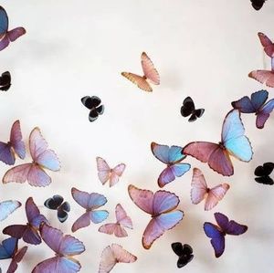 Meet your Posher, Lucy